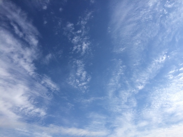 f0379286_20182639.jpeg