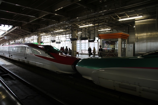 藤田八束の鉄道写真@東北新幹線を走るこまちとはやて、新幹線仙台駅には希望と夢のドラマがある_d0181492_20481439.jpg