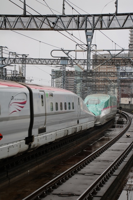 藤田八束の鉄道写真@東北新幹線を走るこまちとはやて、新幹線仙台駅には希望と夢のドラマがある_d0181492_20490793.jpg