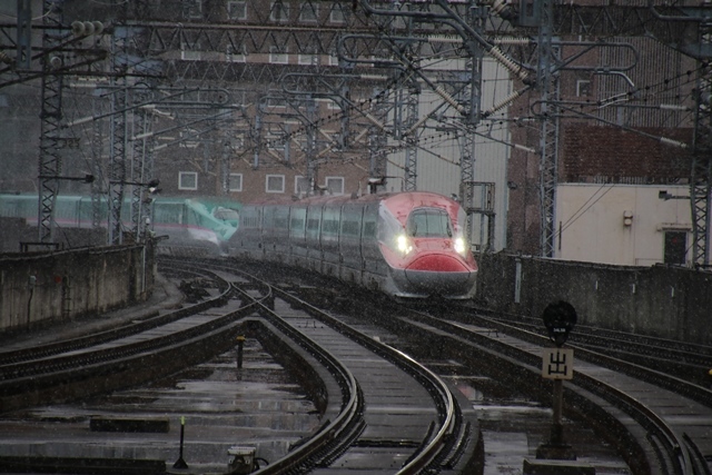 d0181492_20513305.jpg