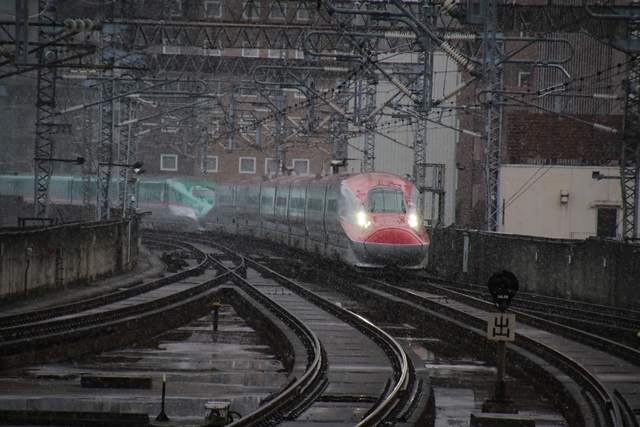 藤田八束の鉄道写真@東北新幹線を走るこまちとはやて、新幹線仙台駅には希望と夢のドラマがある_d0181492_20513305.jpg