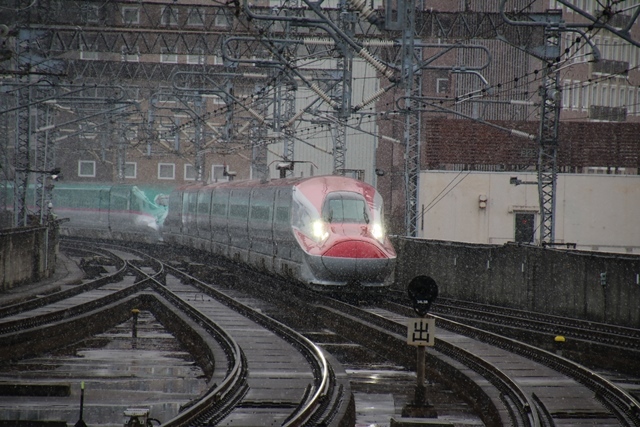 d0181492_20521622.jpg