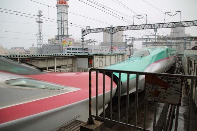 藤田八束の鉄道写真@東北新幹線を走るこまちとはやて、新幹線仙台駅には希望と夢のドラマがある_d0181492_20524845.jpg