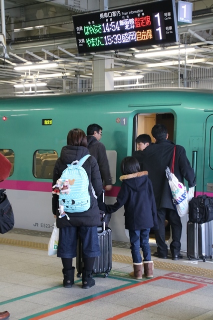 藤田八束の鉄道写真@東北新幹線を走るこまちとはやて、新幹線仙台駅には希望と夢のドラマがある_d0181492_20530431.jpg