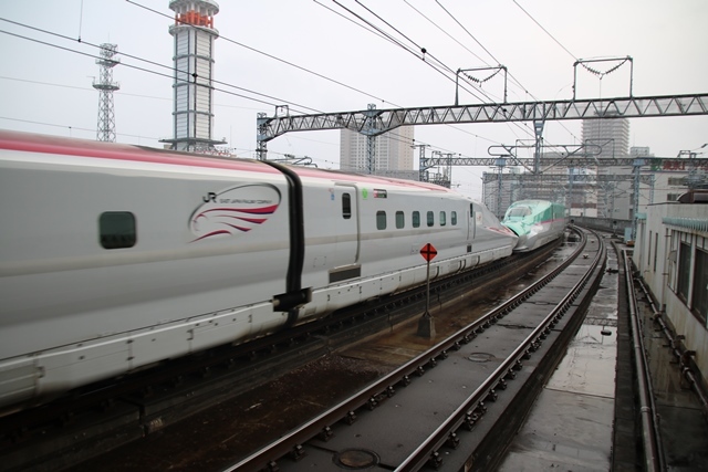 藤田八束の鉄道写真@東北新幹線を走るこまちとはやて、新幹線仙台駅には希望と夢のドラマがある_d0181492_20534424.jpg