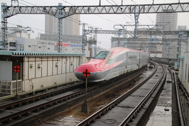 藤田八束の鉄道写真@東北新幹線を走るこまちとはやて、新幹線仙台駅には希望と夢のドラマがある_d0181492_20535736.jpg