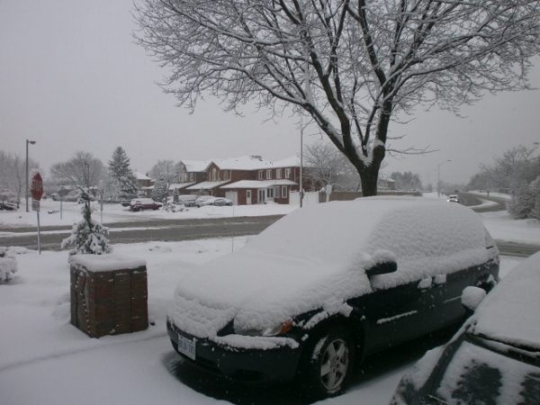 d0000995_22504593.jpg