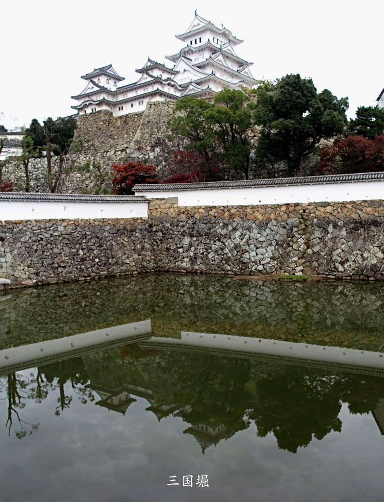 e0039703_8584591.jpg