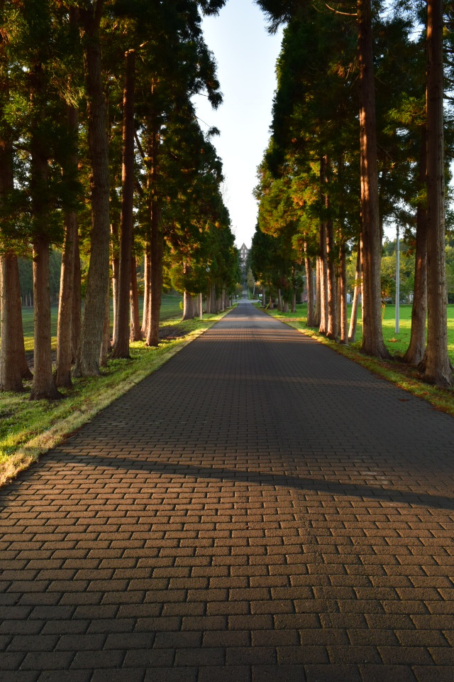 美しき坂の町・函館の風景(郊外・東部篇)_f0142606_07362473.jpg