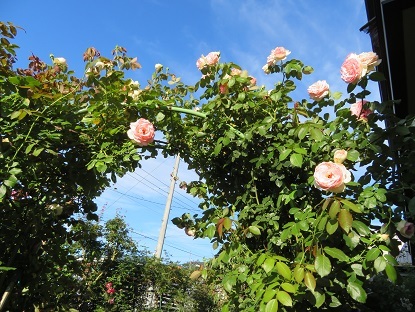 f0325309_13144490.jpg
