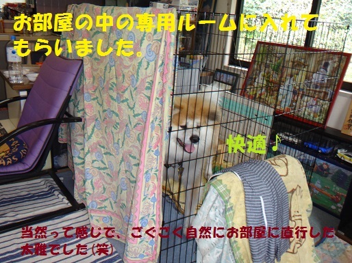 千葉基地訪問の思い出(10/19)_f0121712_17321056.jpg