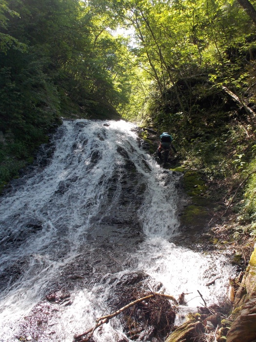 b0037220_17074341.jpg