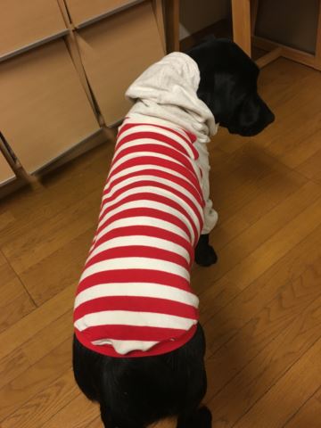 c0114121_09838.jpg