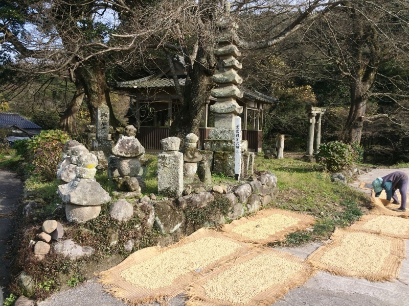 新春の展示会 その2_d0247023_06114677.jpg