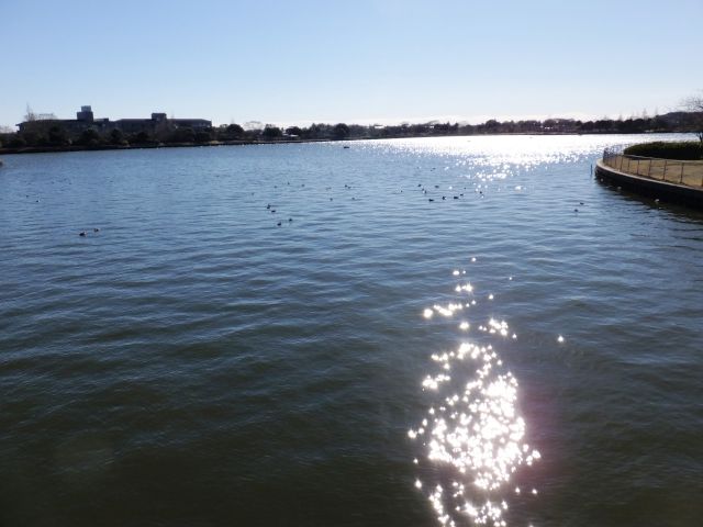 a0166324_221816.jpg
