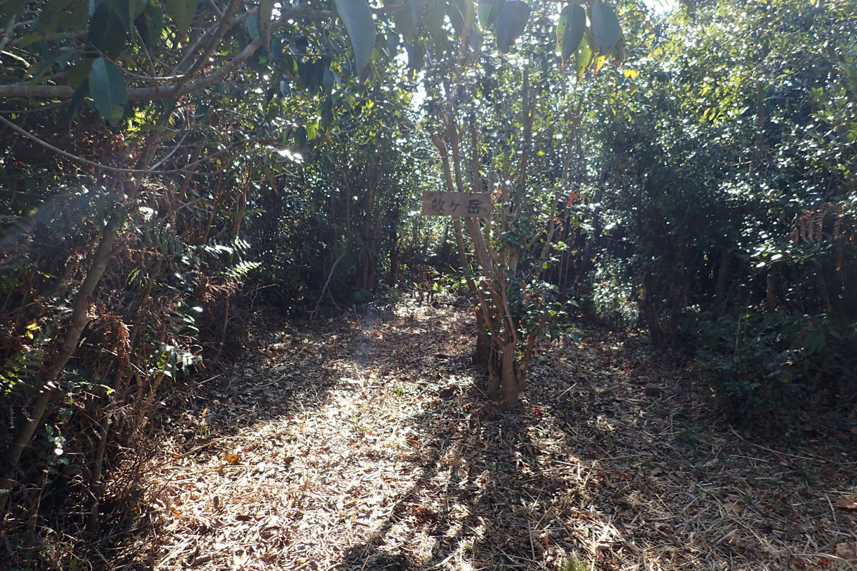 私の百名山　32/100太華山2　　山口県周南市（縦走好きにおすすめ）_c0064025_00353963.jpg