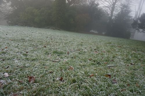 f0225639_2120670.jpg
