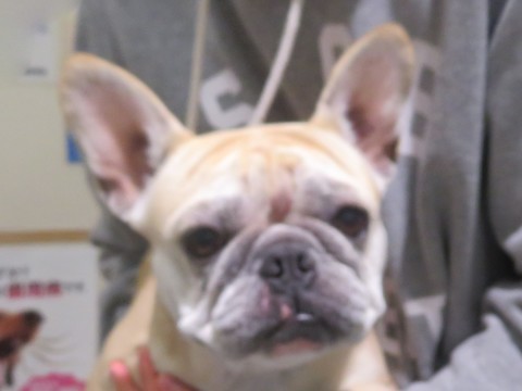 c0174644_13374989.jpg