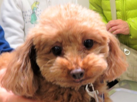 c0174644_17171409.jpg