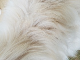 b0239151_10364745.jpg