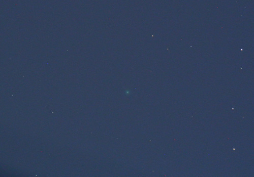 本田-ムルコス-パイドゥシャーコヴァー彗星（2016年12月30日）_c0350853_17575007.jpg