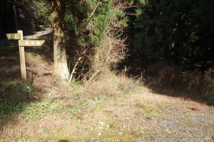d0345153_20080500.jpg