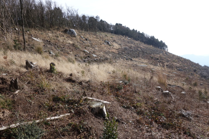 d0345153_20173109.jpg