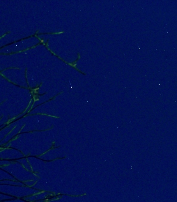 a0248459_15381221.jpg