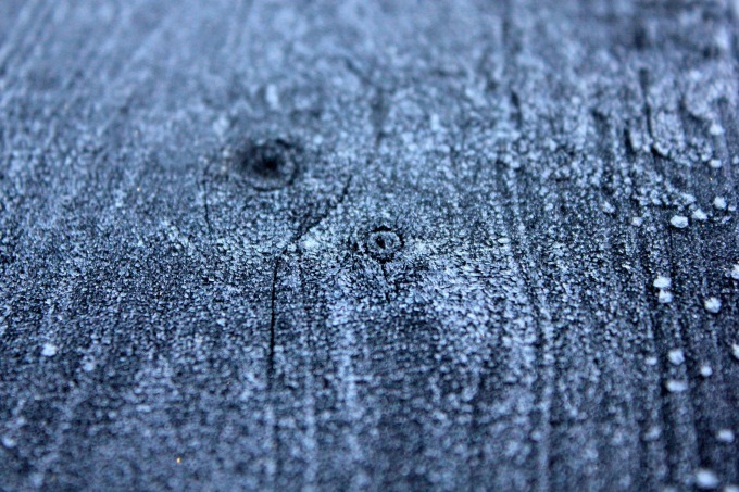 a0248459_15413267.jpg