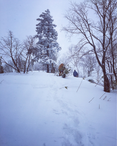 富良野スキー場⭐︎秘密のポイント_c0151965_15301434.jpg