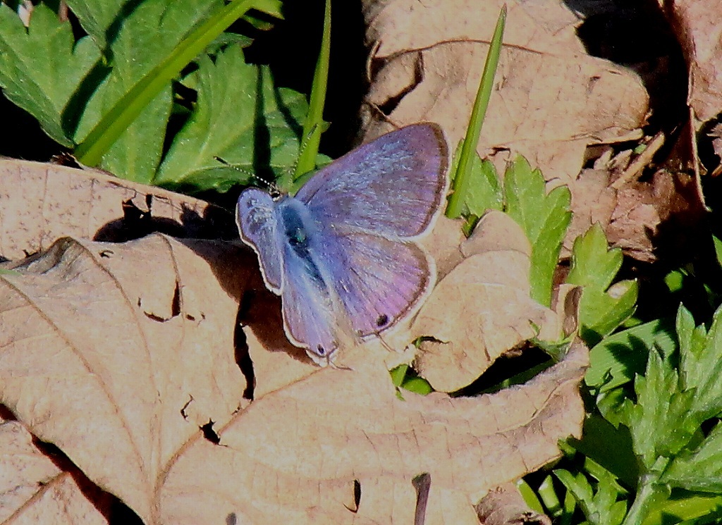 b0320769_08404413.jpg