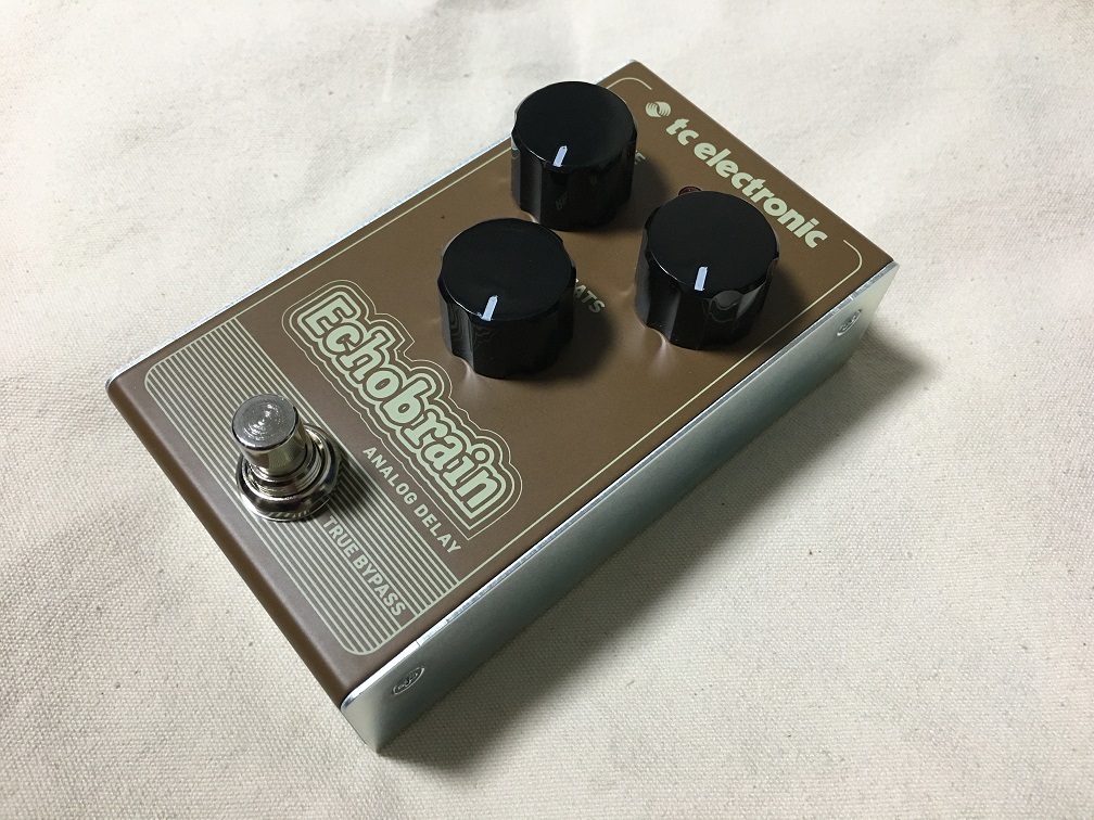 TC Electronic“Echobrain Analog Delay” : 【○八】マルハチBlog