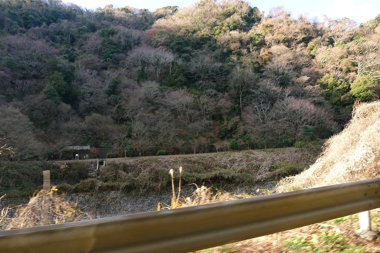a0130586_19563482.jpg