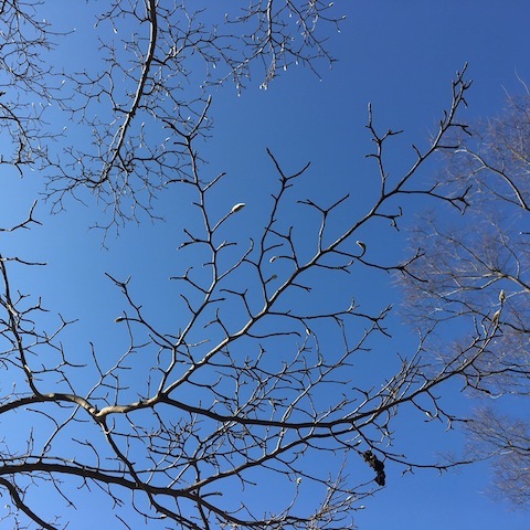d0343297_20193932.jpeg