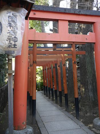 c0090198_1850858.jpg