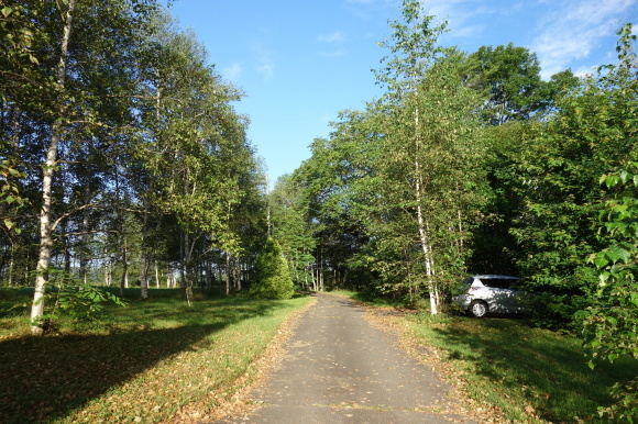 f0174198_21182024.jpg