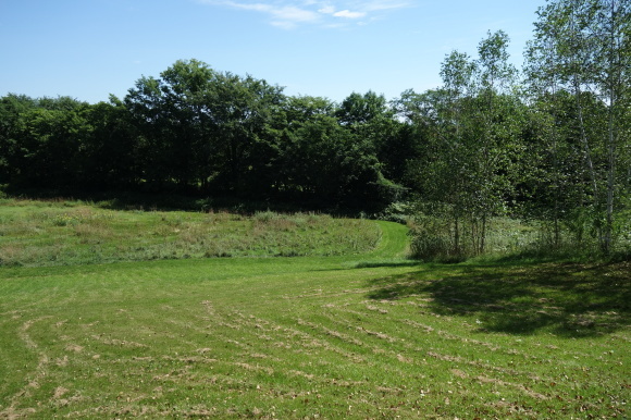 f0174198_21510058.jpg
