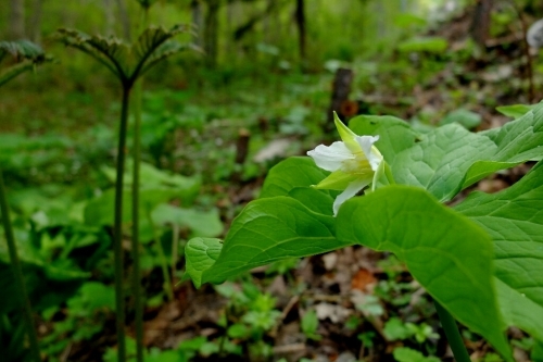 e0304001_16562667.jpg