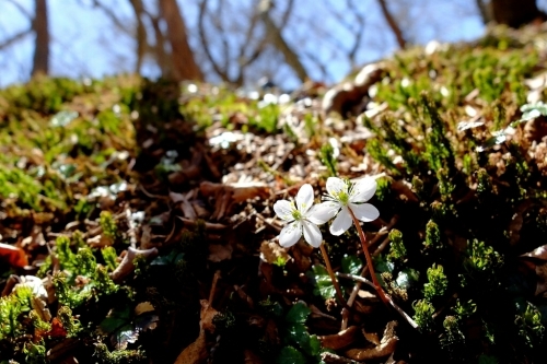 e0304001_17044716.jpg