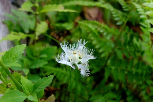 e0304001_17173802.jpg