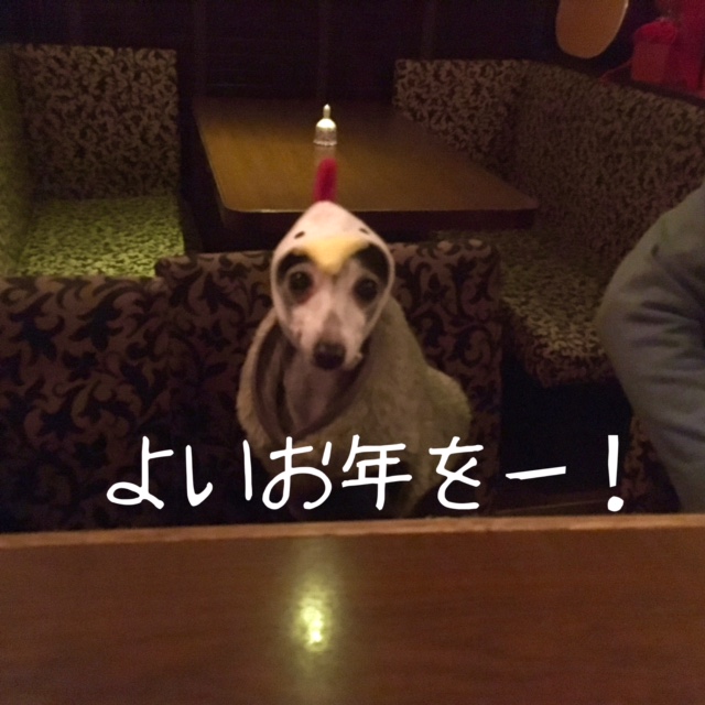 2016ありがとうございました。_a0050302_7443645.jpg