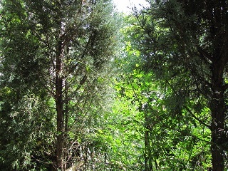 c0152002_09362784.jpg