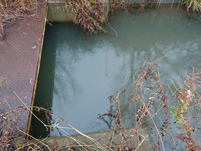 f0082402_16040820.jpg