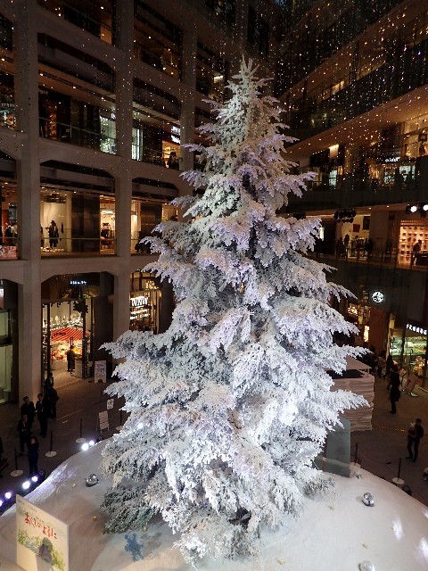 f0043911_00494414.jpg