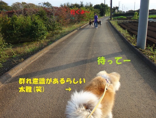 千葉基地訪問の思い出(10/19)_f0121712_00185434.jpg