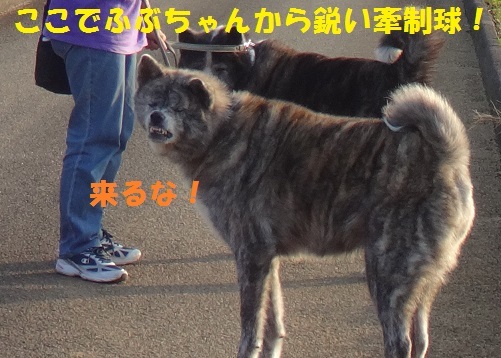 千葉基地訪問の思い出(10/19)_f0121712_00192617.jpg
