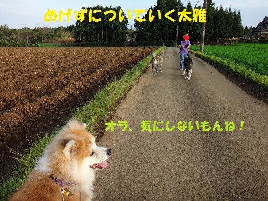 千葉基地訪問の思い出(10/19)_f0121712_00304847.jpg