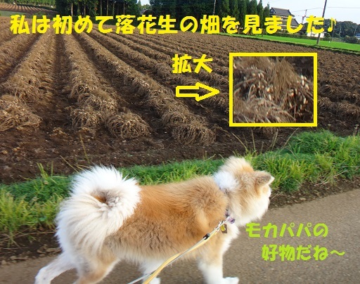 千葉基地訪問の思い出(10/19)_f0121712_00305822.jpg