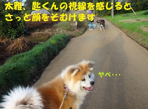 千葉基地訪問の思い出(10/19)_f0121712_00434012.jpg
