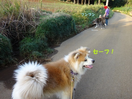 千葉基地訪問の思い出(10/19)_f0121712_00482237.jpg